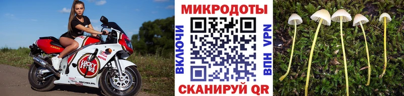 Псилоцибиновые грибы мухоморы Валуйки