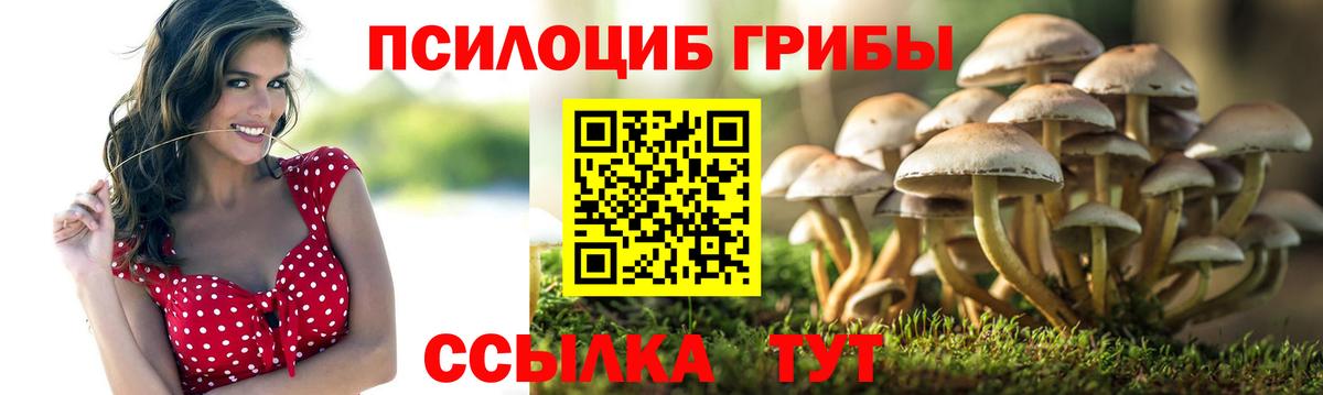 Псилоцибиновые грибы ЛСД Валуйки